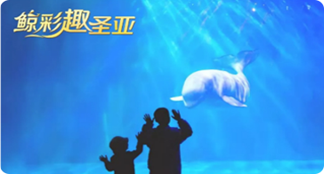 新年派对 | 解锁新年五大海洋故事！