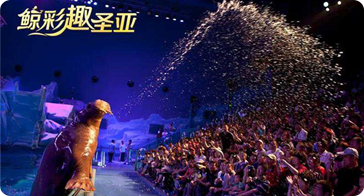 萌亚科普 | 鳍足三兄弟，傻傻分得清！