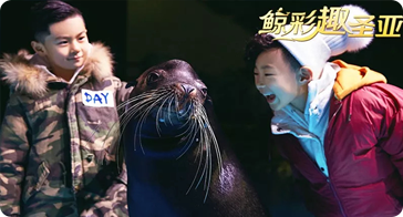 #大连圣亚海洋世界活动# 1元圣亚夏日礼包&官网小程序正式上线！