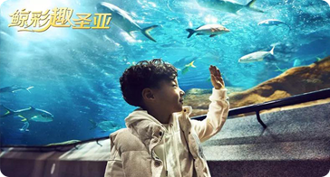 【大连圣亚海洋世界】“趣”大连兜风，在大连寻找爱拍海的大连圣亚粉儿~