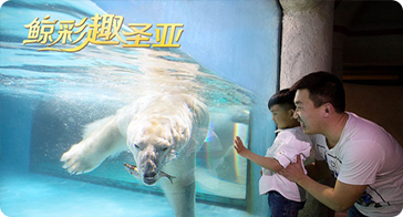 中国旅游日丨5.19寿星半价游大连圣亚海洋世界