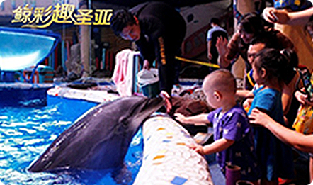 圣亚海洋世界海萌圣诞节,开启不一样的海洋“奇遇季”