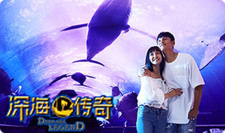 五一跟着春天游大连，花样浪漫趣圣亚海洋世界