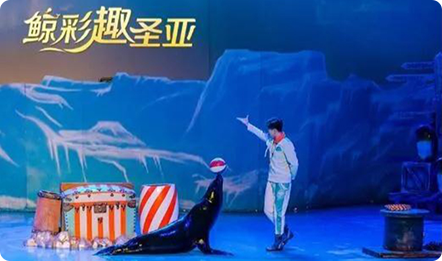 爱旅行 | 庆团圆闹鲸秋，推荐适合全家人打卡的大连旅游地