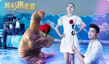 【大连圣亚明星秀】起底明星隐私，“海洋好声音”谁闪耀？