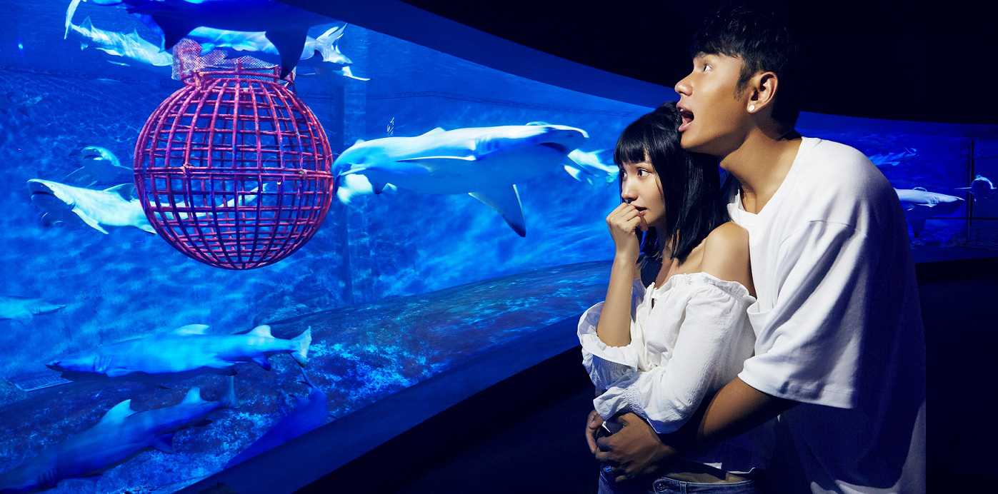 官宣鲸旅行体验官！跟着大V趣旅行啦