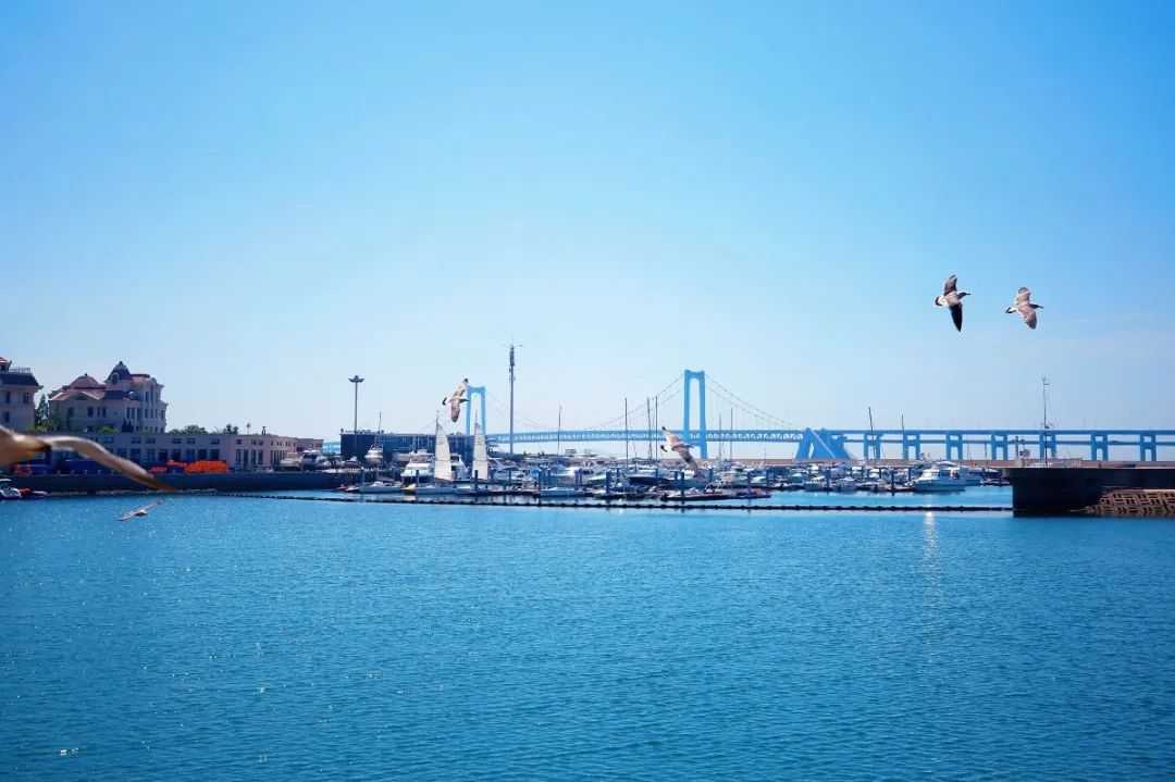 春日直播特辑 | 跟着抖音大咖云游圣亚，在线互动赢白鲸体验官、免费门票