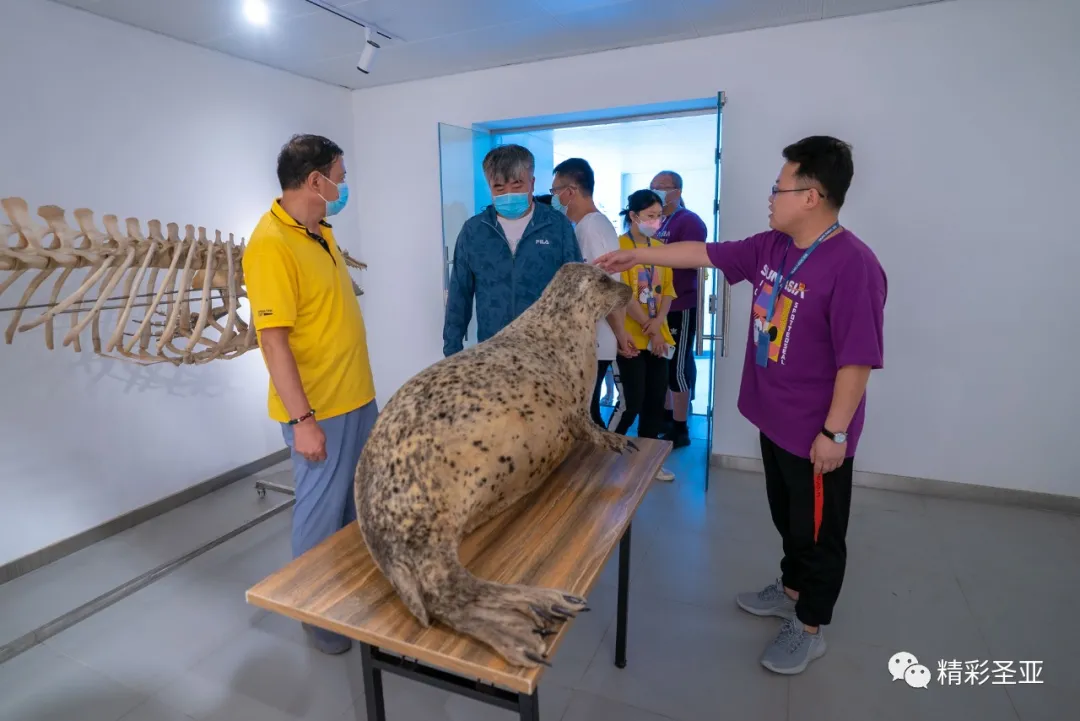 圣亚公益丨践行企业使命担当，提高全民环保意识