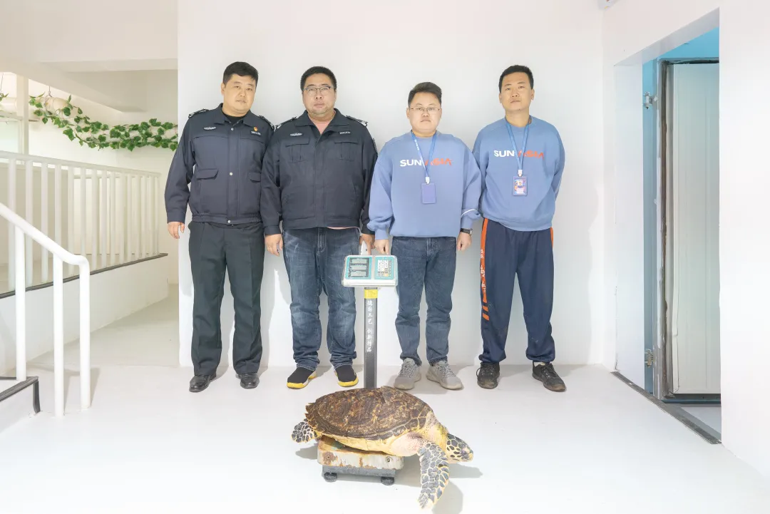 圣亚公益丨紧急救治极危动物“玳瑁”，保护生物多样性进行时