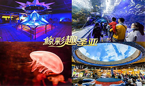 国际大学生日 | 99元打卡！鲸典海洋，鲸彩表演，趁着暖阳浪起来