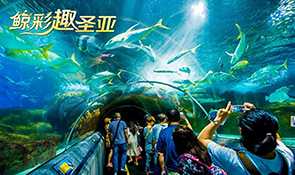 研学营｜冬季趣海洋招募啦!